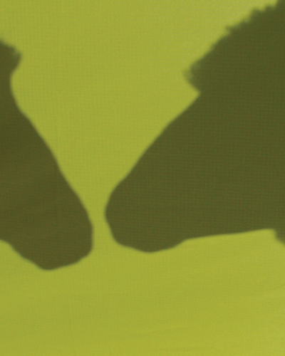 Lorem Ipsum